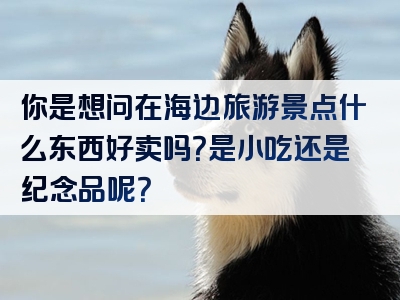 你是想问在海边旅游景点什么东西好卖吗？是小吃还是纪念品呢？