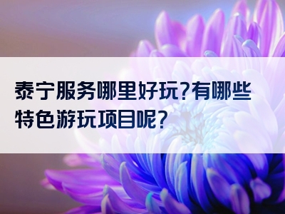 泰宁服务哪里好玩？有哪些特色游玩项目呢？
