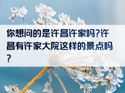 你想问的是许昌许家吗？许昌有许家大院这样的景点吗？
