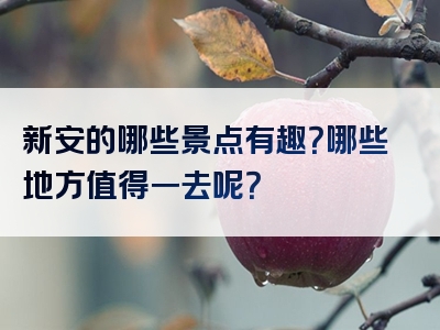 新安的哪些景点有趣？哪些地方值得一去呢？