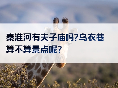 秦淮河有夫子庙吗？乌衣巷算不算景点呢？