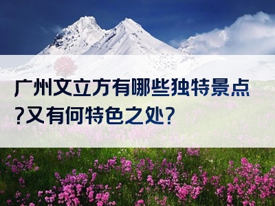 广州文立方有哪些独特景点？又有何特色之处？