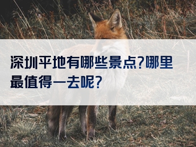 深圳平地有哪些景点？哪里最值得一去呢？