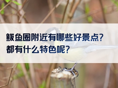 鲅鱼圈附近有哪些好景点？都有什么特色呢？