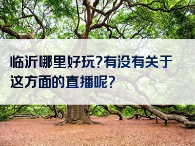 临沂哪里好玩？有没有关于这方面的直播呢？