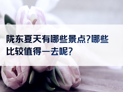 陇东夏天有哪些景点？哪些比较值得一去呢？