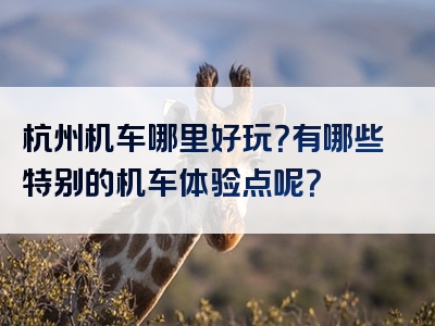 杭州机车哪里好玩？有哪些特别的机车体验点呢？