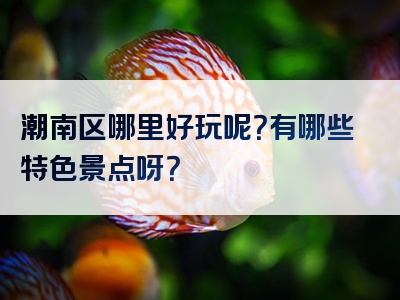 潮南区哪里好玩呢？有哪些特色景点呀？