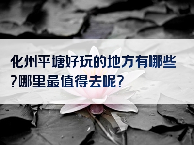 化州平塘好玩的地方有哪些？哪里最值得去呢？