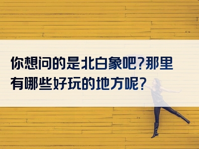 你想问的是北白象吧？那里有哪些好玩的地方呢？