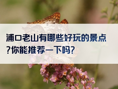 浦口老山有哪些好玩的景点？你能推荐一下吗？