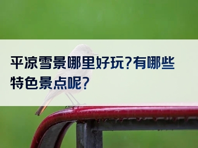 平凉雪景哪里好玩？有哪些特色景点呢？