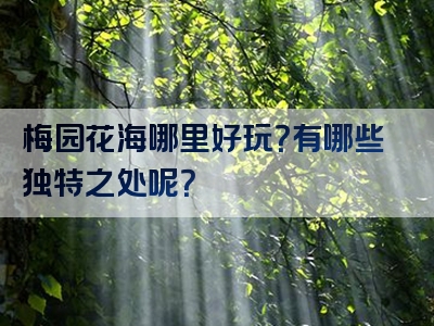 梅园花海哪里好玩？有哪些独特之处呢？