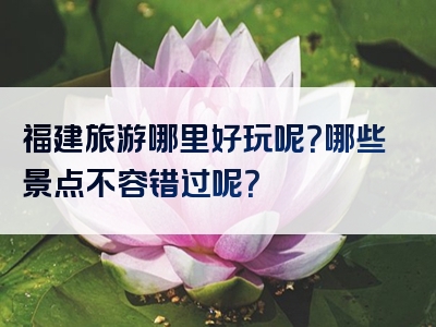 福建旅游哪里好玩呢？哪些景点不容错过呢？