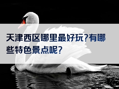 天津西区哪里最好玩？有哪些特色景点呢？