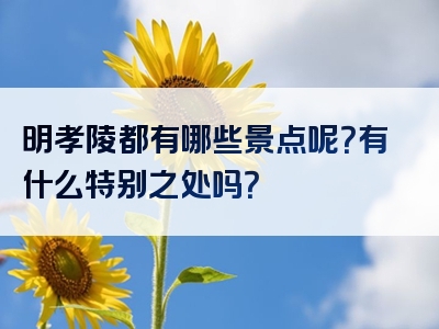 明孝陵都有哪些景点呢？有什么特别之处吗？