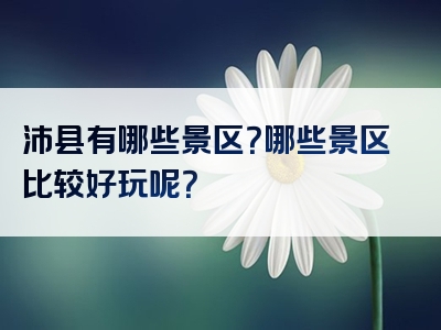 沛县有哪些景区？哪些景区比较好玩呢？