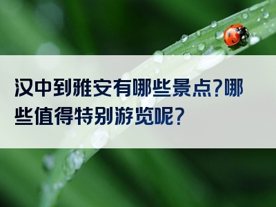 汉中到雅安有哪些景点？哪些值得特别游览呢？