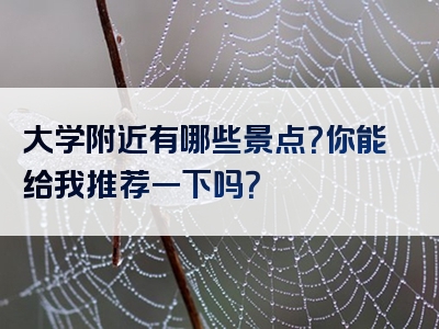 大学附近有哪些景点？你能给我推荐一下吗？