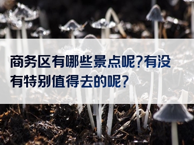商务区有哪些景点呢？有没有特别值得去的呢？