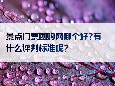 景点门票团购网哪个好？有什么评判标准呢？