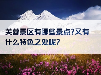 芙蓉景区有哪些景点？又有什么特色之处呢？