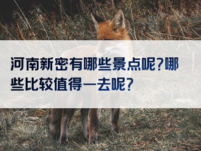 河南新密有哪些景点呢？哪些比较值得一去呢？