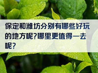 保定和潍坊分别有哪些好玩的地方呢？哪里更值得一去呢？