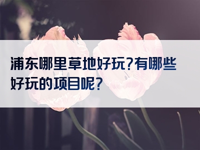 浦东哪里草地好玩？有哪些好玩的项目呢？