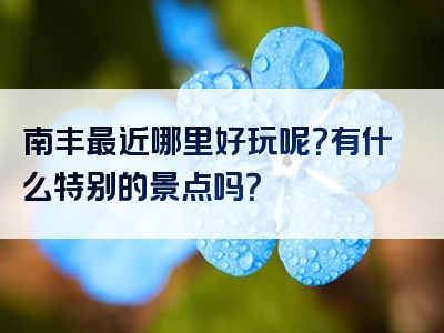 南丰最近哪里好玩呢？有什么特别的景点吗？