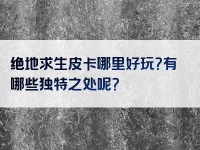 绝地求生皮卡哪里好玩？有哪些独特之处呢？
