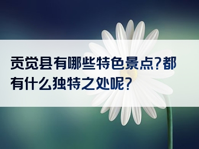 贡觉县有哪些特色景点？都有什么独特之处呢？