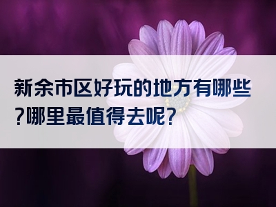 新余市区好玩的地方有哪些？哪里最值得去呢？