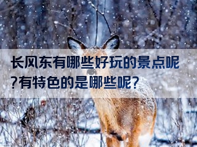 长风东有哪些好玩的景点呢？有特色的是哪些呢？