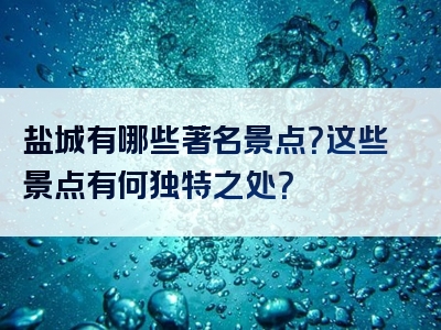 盐城有哪些著名景点？这些景点有何独特之处？