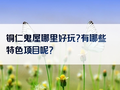 铜仁鬼屋哪里好玩？有哪些特色项目呢？