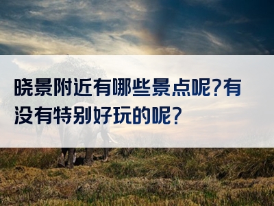 晓景附近有哪些景点呢？有没有特别好玩的呢？