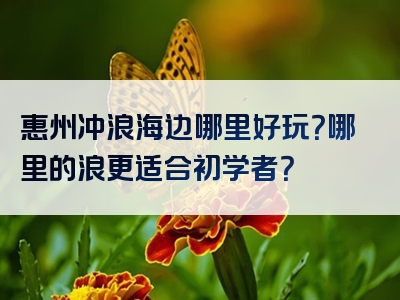 惠州冲浪海边哪里好玩？哪里的浪更适合初学者？