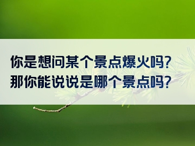 你是想问某个景点爆火吗？那你能说说是哪个景点吗？