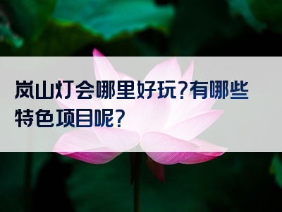 岚山灯会哪里好玩？有哪些特色项目呢？