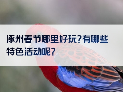 涿州春节哪里好玩？有哪些特色活动呢？