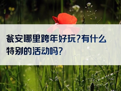 瓮安哪里跨年好玩？有什么特别的活动吗？