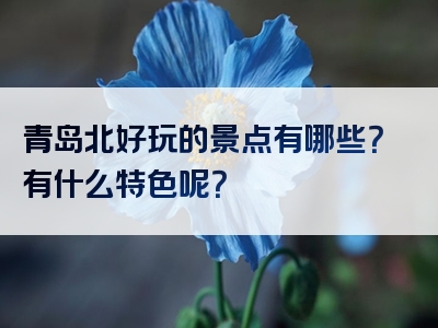 青岛北好玩的景点有哪些？有什么特色呢？
