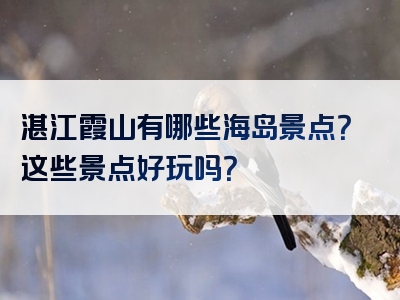 湛江霞山有哪些海岛景点？这些景点好玩吗？