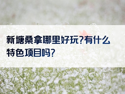 新塘桑拿哪里好玩？有什么特色项目吗？