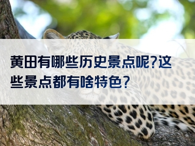 黄田有哪些历史景点呢？这些景点都有啥特色？