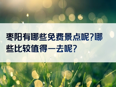 枣阳有哪些免费景点呢？哪些比较值得一去呢？