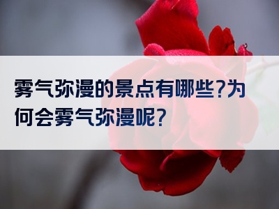 雾气弥漫的景点有哪些？为何会雾气弥漫呢？