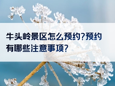 牛头岭景区怎么预约？预约有哪些注意事项？
