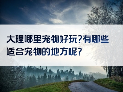 大理哪里宠物好玩？有哪些适合宠物的地方呢？